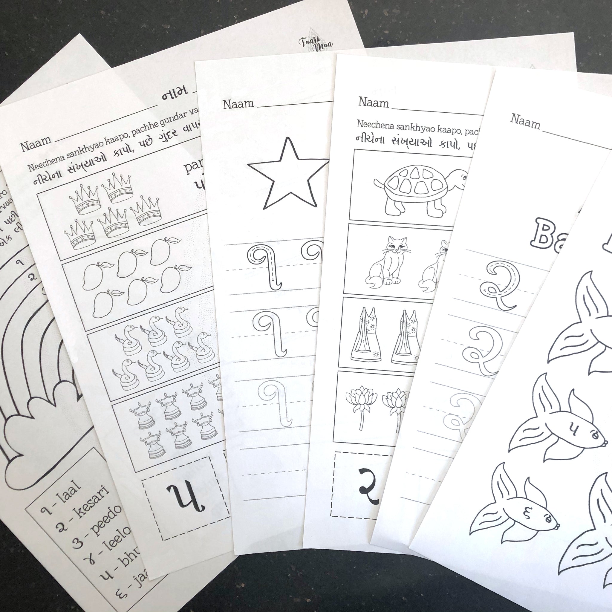 Printable Gujarati Activity Book – Taari Maa